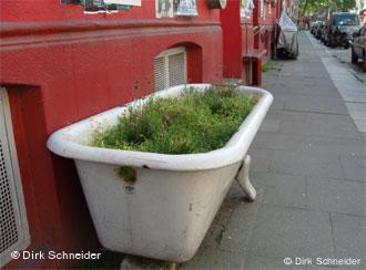 Guerilla Gardening