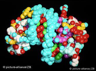 Las proteínas de células cancerosas impulsan al organismo a crear anticuerpos.